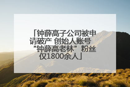 钟薛高子公司被申请破产 创始人账号“钟薛高老林”粉丝仅1800余人