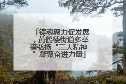 铸魂聚力促发展，黄鹤楼街道多举措弘扬“三大精神”凝聚奋进力量