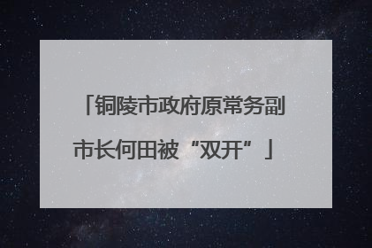 铜陵市政府原常务副市长何田被“双开”