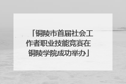铜陵市首届社会工作者职业技能竞赛在铜陵学院成功举办