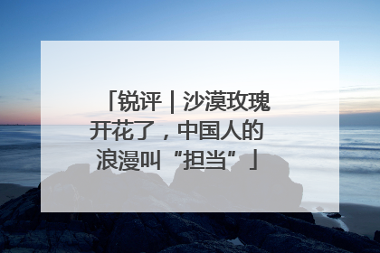 锐评｜沙漠玫瑰开花了，中国人的浪漫叫“担当”