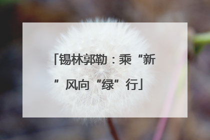 锡林郭勒：乘“新”风向“绿”行