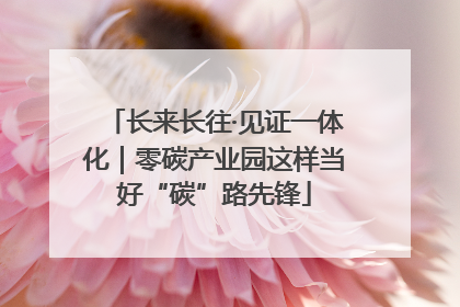 长来长往·见证一体化｜零碳产业园这样当好“碳”路先锋