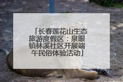 长春莲花山生态旅游度假区：泉眼镇林溪社区开展端午民俗体验活动