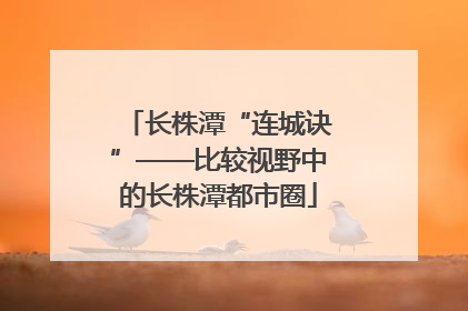 长株潭“连城诀”——比较视野中的长株潭都市圈