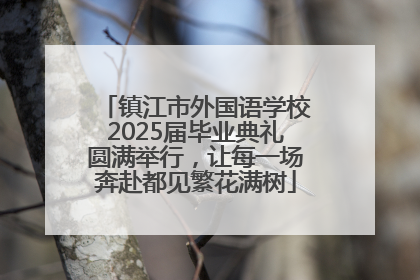 镇江市外国语学校2025届毕业典礼圆满举行，让每一场奔赴都见繁花满树