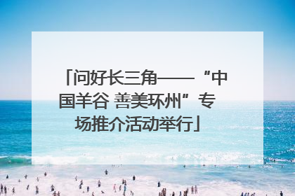 问好长三角——“中国羊谷 善美环州”专场推介活动举行