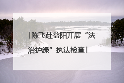 陈飞赴益阳开展“法治护绿”执法检查