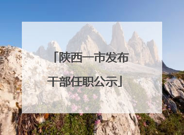 陕西一市发布干部任职公示