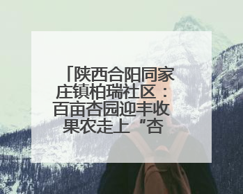 陕西合阳同家庄镇柏瑞社区：百亩杏园迎丰收 果农走上“杏”福路