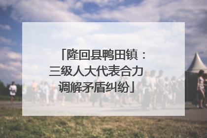 隆回县鸭田镇：三级人大代表合力调解矛盾纠纷