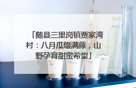 随县三里岗镇贾家湾村：八月瓜缀满藤，山野孕育甜蜜希望