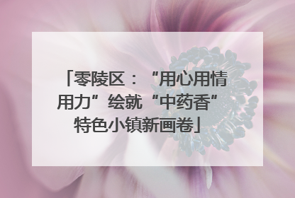 零陵区：“用心用情用力”绘就“中药香”特色小镇新画卷