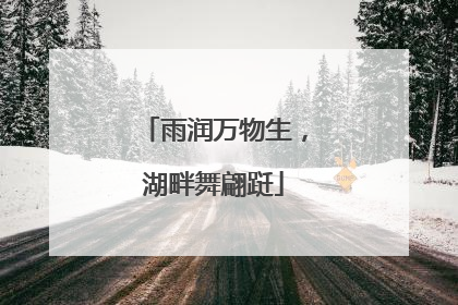 雨润万物生，湖畔舞翩跹