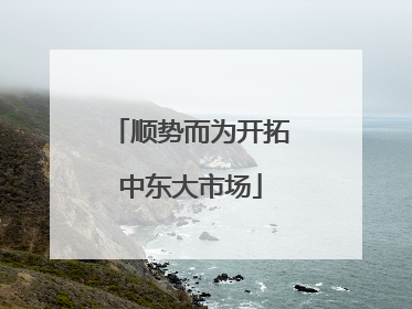 顺势而为开拓中东大市场