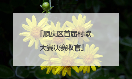 顺庆区首届村歌大赛决赛收官