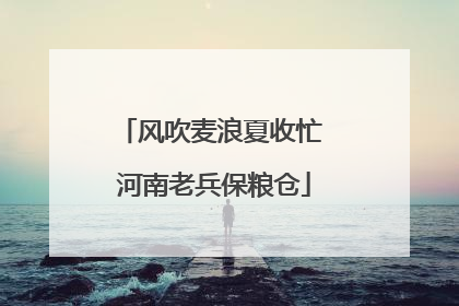 风吹麦浪夏收忙 河南老兵保粮仓