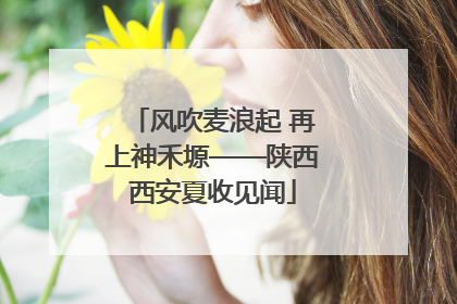 风吹麦浪起 再上神禾塬——陕西西安夏收见闻