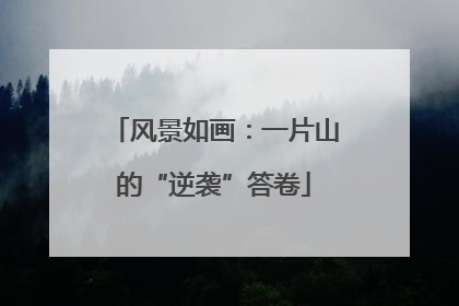 风景如画：一片山的“逆袭”答卷
