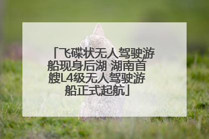 飞碟状无人驾驶游船现身后湖 湖南首艘L4级无人驾驶游船正式起航