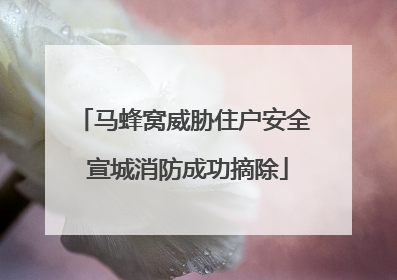 马蜂窝威胁住户安全 宣城消防成功摘除