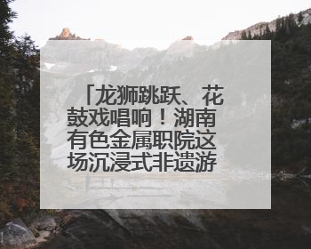 龙狮跳跃、花鼓戏唱响！湖南有色金属职院这场沉浸式非遗游园活动很带感