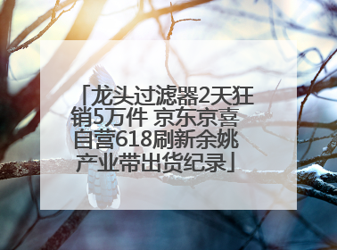 龙头过滤器2天狂销5万件 京东京喜自营618刷新余姚产业带出货纪录