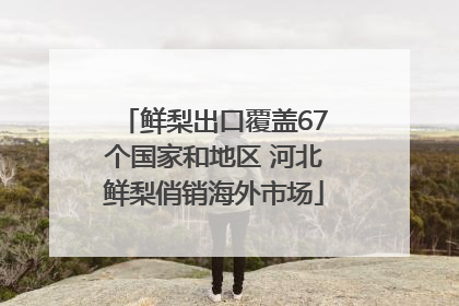 鲜梨出口覆盖67个国家和地区 河北鲜梨俏销海外市场