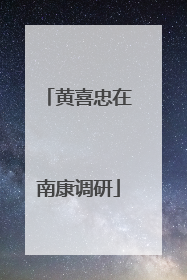 黄喜忠在南康调研