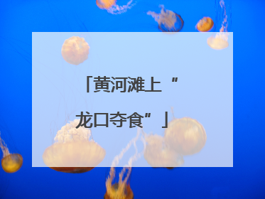 黄河滩上“龙口夺食”