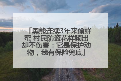 黑熊连续3年来偷蜂蜜 村民防盗花样频出却不伤害：它是保护动物，我有保险兜底