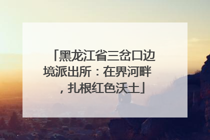 黑龙江省三岔口边境派出所：在界河畔，扎根红色沃土