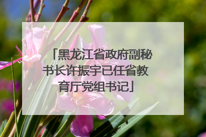 黑龙江省政府副秘书长许振宇已任省教育厅党组书记
