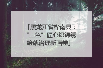 黑龙江省桦南县：“三色”匠心织锦绣 绘就治理新画卷