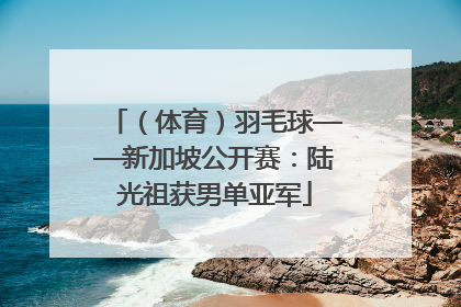 （体育）羽毛球——新加坡公开赛：陆光祖获男单亚军