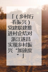 （乡村行·看振兴）党建联建推进村企结对 浙江遂昌实现乡村振兴“加速度”