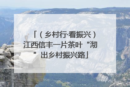 （乡村行·看振兴）江西信丰一片茶叶“沏”出乡村振兴路