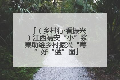 （乡村行·看振兴）江西靖安“小”浆果助绘乡村振兴“莓”好“蓝”图
