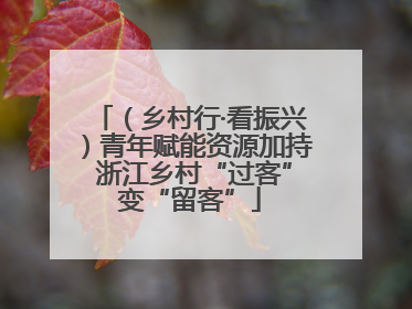 （乡村行·看振兴）青年赋能资源加持 浙江乡村“过客”变“留客”