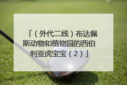 （外代二线）布达佩斯动物和植物园的西伯利亚虎宝宝（2）