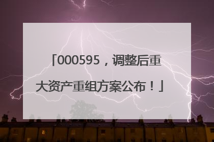 000595，调整后重大资产重组方案公布！
