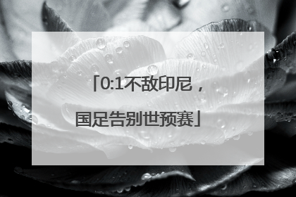 0:1不敌印尼，国足告别世预赛