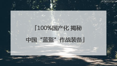 100%国产化 揭秘中国“蓝盔”作战装备