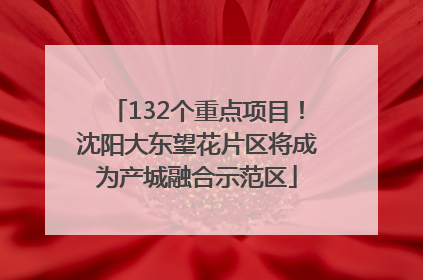 132个重点项目！沈阳大东望花片区将成为产城融合示范区
