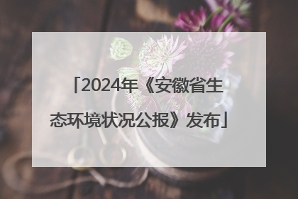 2024年《安徽省生态环境状况公报》发布