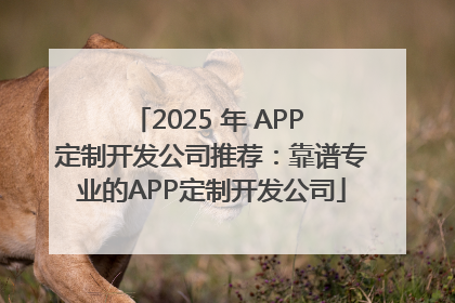 2025 年 APP 定制开发公司推荐：靠谱专业的APP定制开发公司