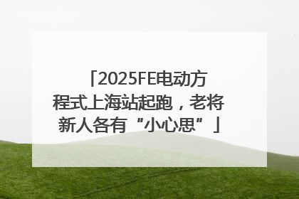2025FE电动方程式上海站起跑，老将新人各有“小心思”
