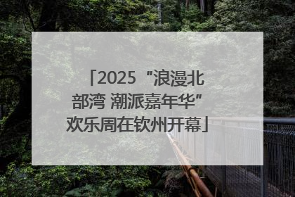 2025“浪漫北部湾 潮派嘉年华”欢乐周在钦州开幕
