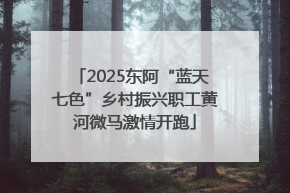 2025东阿“蓝天七色”乡村振兴职工黄河微马激情开跑
