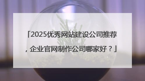 2025优秀网站建设公司推荐，企业官网制作公司哪家好？